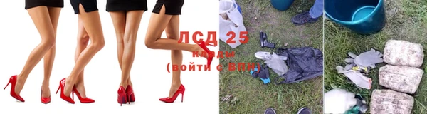 гашик Белокуриха