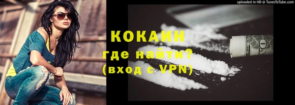 гашик Белокуриха