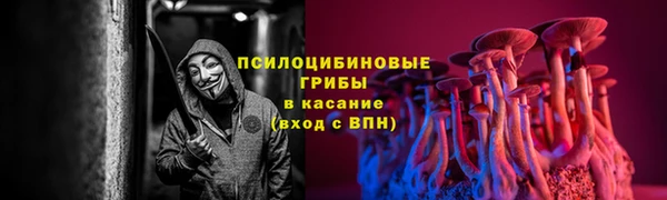 гашик Белокуриха