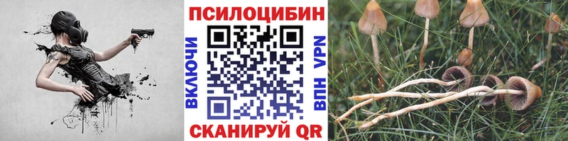 mega онион  купить наркотик  Егорьевск  Псилоцибиновые грибы мухоморы 