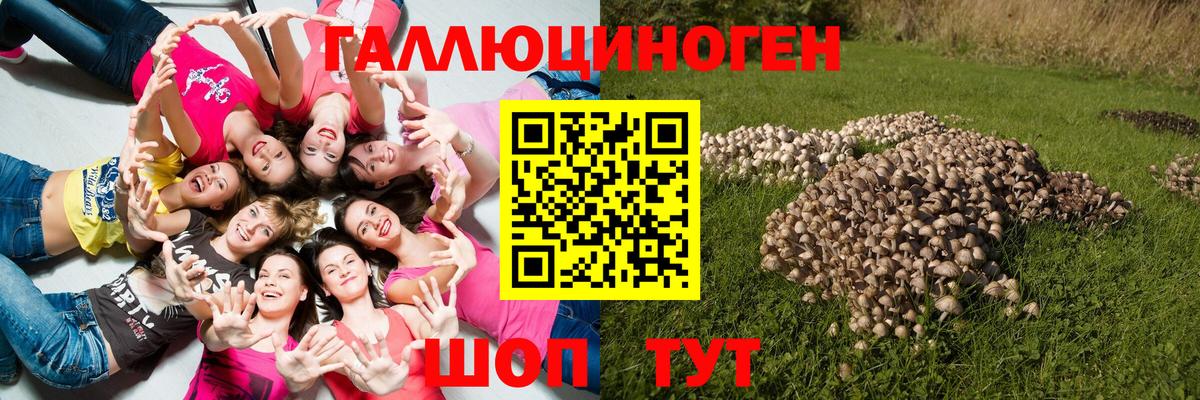 Галлюциногенные грибы мухоморы Егорьевск